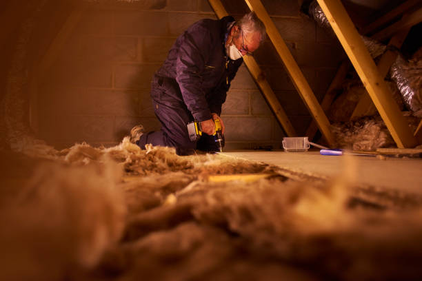Best Types of Insulation in Wheeler Af, HI